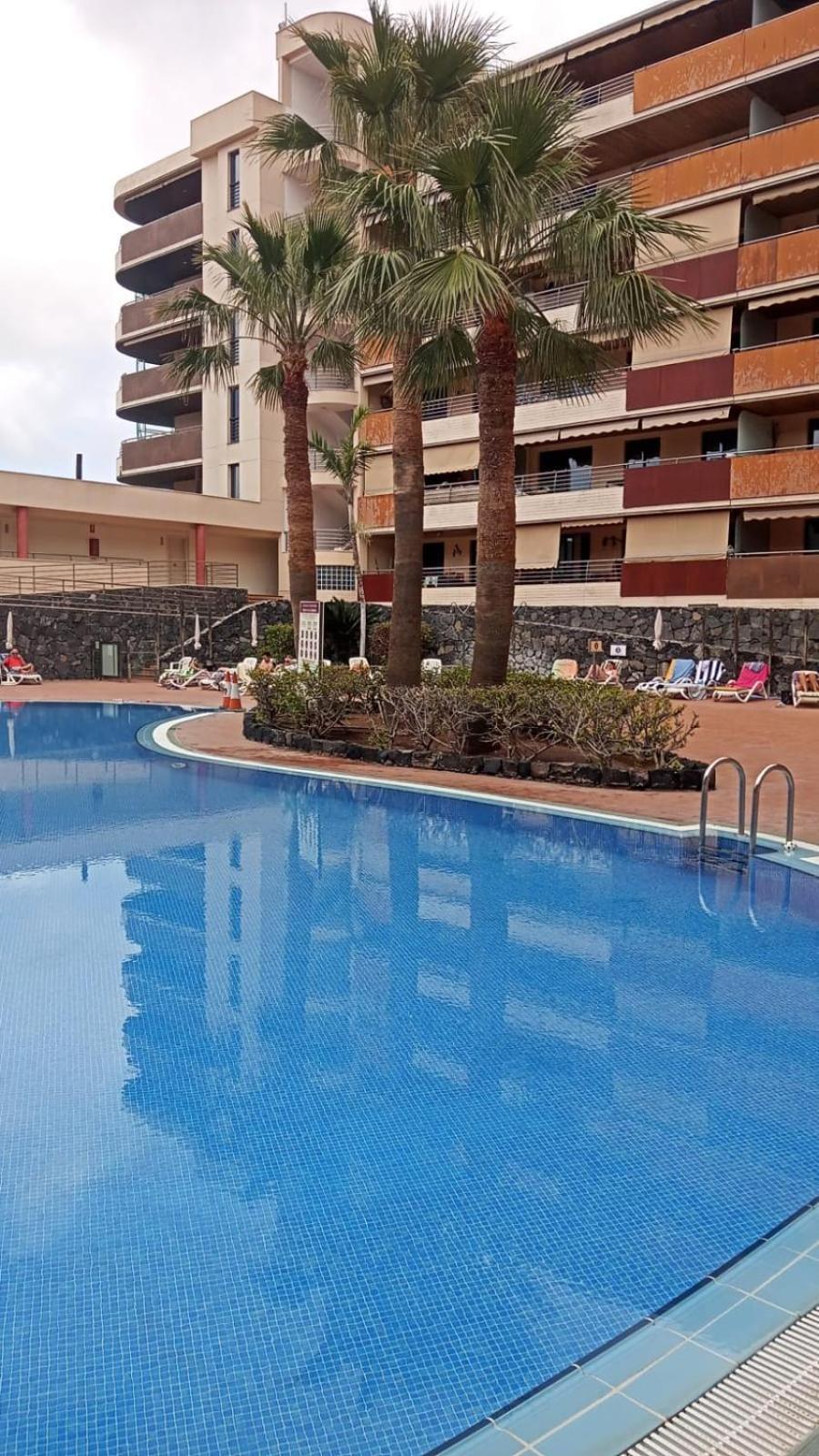 Vistas De Los Gigantes Apartamento 2 Dormitorios Puerto de Santiago  Exterior photo